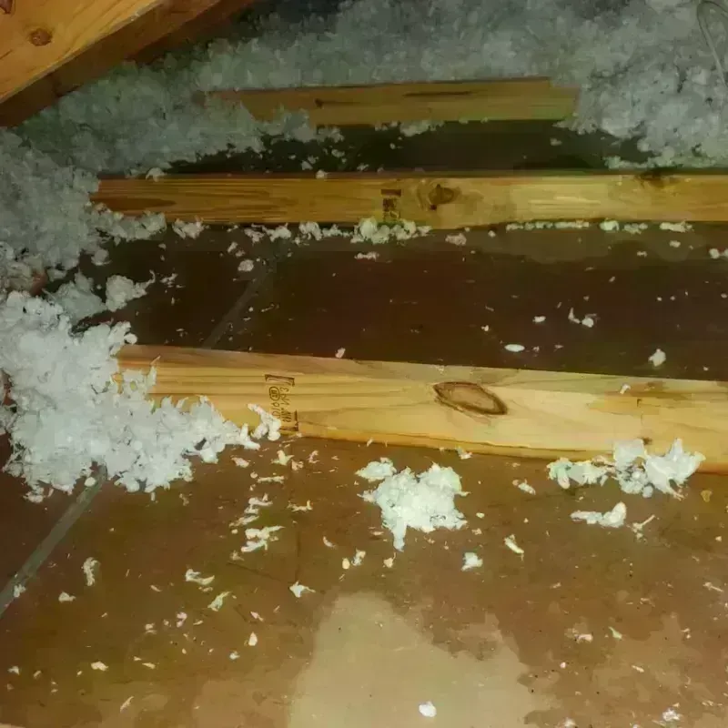 Attic Water Damage in Lisbon, CT